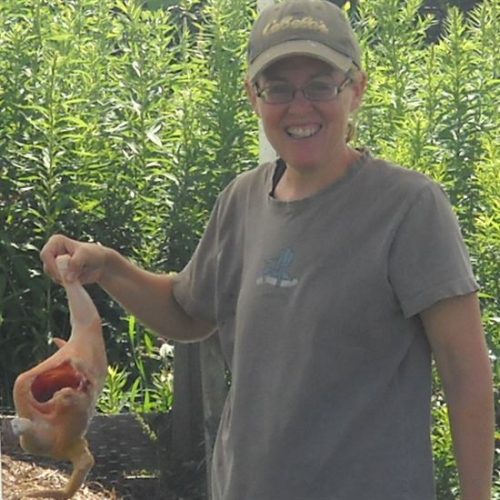 Butchering Homegrown Chickens